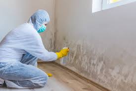 Best Mold Remediation for Healthcare Facilities  in Ddanelle, AR